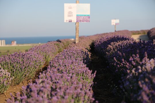 Tour image 8